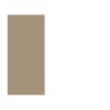 🐘E︎L︎E︎P︎H︎A︎N︎T︎ C︎U︎T︎2🐘 16
