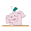 🐘E︎L︎E︎P︎H︎A︎N︎T︎ C︎U︎T︎2🐘 17