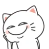 CATS 12