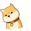 AKIO柴犬VOL.1 5