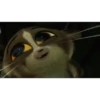 MORT XD 6