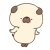 My fat dog 7