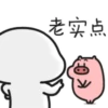 Quby乖巧宝宝13 9