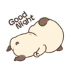 My fat dog 8