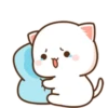 MOCHIS CAT Extra"H" MOV 6