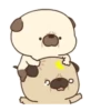 My fat dog 10