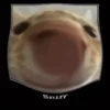 OMG 10