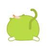 Green cat sandy 7