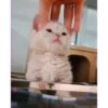 OMG 13
