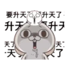 GIF Miss Very Rabbit 10