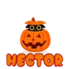 Calabaza Nombres 2 16