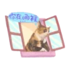 喵星人語錄 11