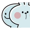 rabbit 8