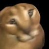 OMG 17