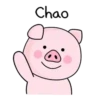 ♡ SwEeT PiNk PiG ♡ (Mov) 11