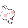 rabbit 10