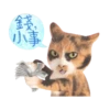 喵星人語錄 13