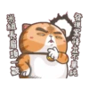 喵皇米香_新年哞哞 10