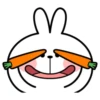 rabbit 12