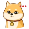 AKIO柴犬VOL.1 17