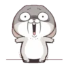 GIF Miss Very Rabbit 15