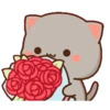 Love kitten 2 18