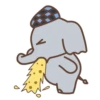 🐘E︎L︎E︎P︎H︎A︎N︎T︎ C︎U︎T︎1🐘 20