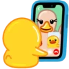 Mis hermosos patitos 8