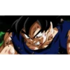Pako. Goku King 13