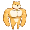 AKIO柴犬VOL.1 20