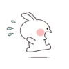 rabbit 14