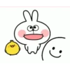 rabbit 15