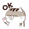 肖阿咪 3 之動的死去活來 18