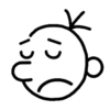 Diary Of A Wimpy Kid 21