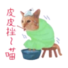 喵星人語錄 20