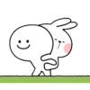 rabbit 17
