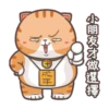 喵皇米香_新年哞哞 13