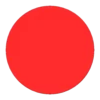 Daruma達摩 15