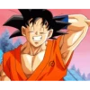 Pako. Goku King 17