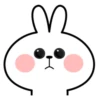 rabbit 18