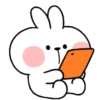 rabbit 20
