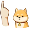 AKIO柴犬VOL.1 23
