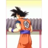 Pako. Goku King 20