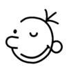 Diary Of A Wimpy Kid 29