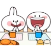 rabbit 24