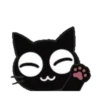 ‍ Monochrome cat 2 ‍  MOV 16