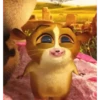 MORT XD 13