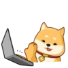 AKIO柴犬VOL.2 10