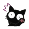 ‍ Monochrome cat ‍  MOV 18