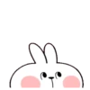 rabbit 25